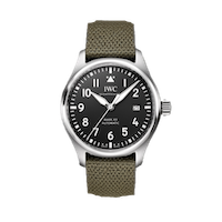 IWC Mark XX visualized
