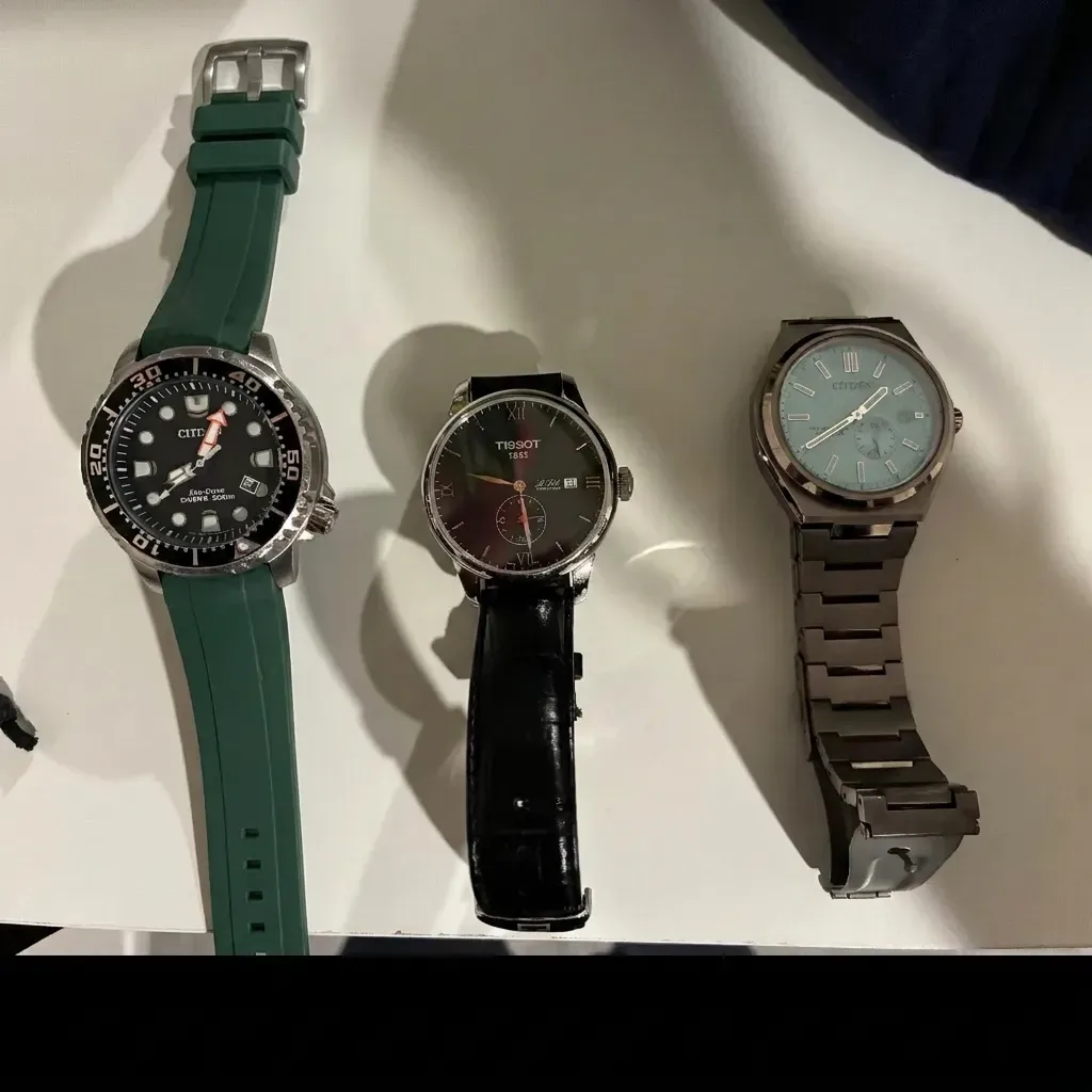 Citizen Promaster Diver on Curved End Rubber strap