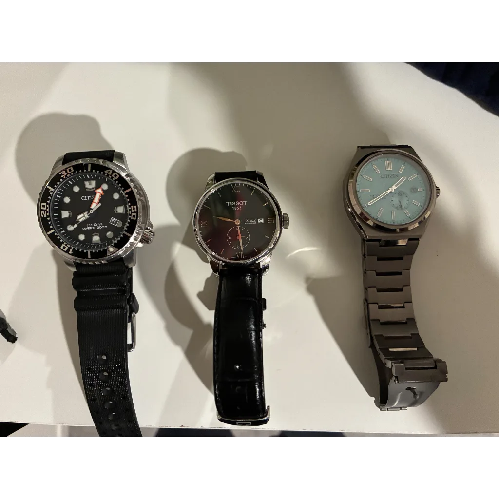 Citizen Promaster Diver original timepiece